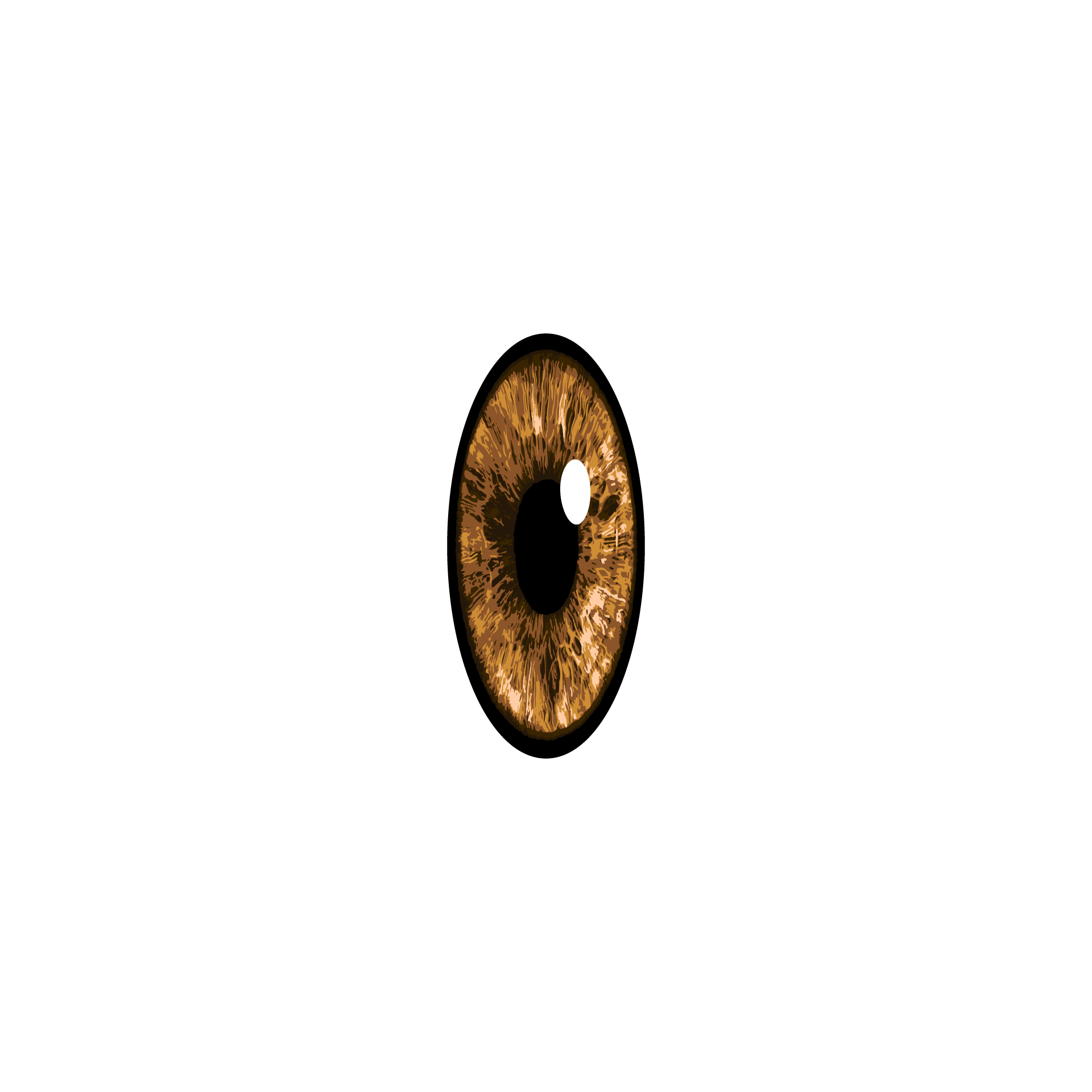 Example Image