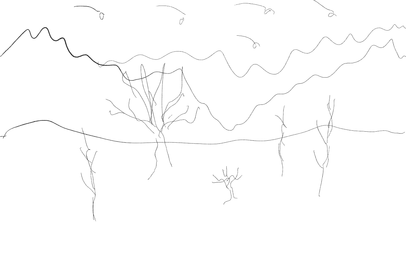 Example Image
